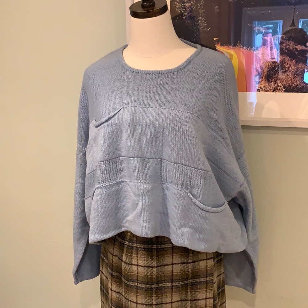 Animale by Jacques Ruc Blue Cropped Chunky Sweater Shirt - Casual